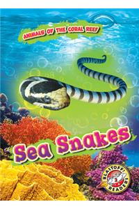 Sea Snakes