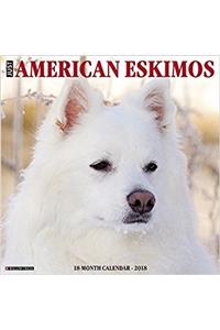 American Eskimo Dogs 2018 Calendar