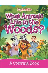 What Animals Live in the Woods? (A Coloring Book)