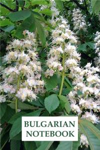 Bulgarian Notebook
