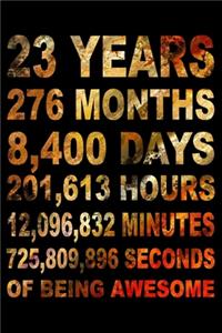 23 Years Of Being Awesome