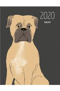 2020 Mastiff