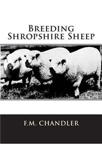 Breeding Shropshire Sheep
