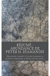 RÃ©sumÃ© - Abundance de Peter H. Diamandis: DÃ©couvrez Comment l'On Peut Changer Le Monde Et AmÃ©liorer Le Niveau de Vie Global.