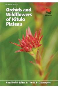 Orchids and Wildflowers of Kitulo Plateau