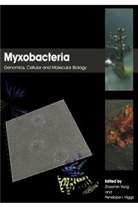 Myxobacteria