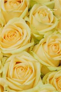 Yellow Roses Notes