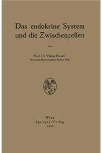 Endokrine System Und Die Zwischenzellen