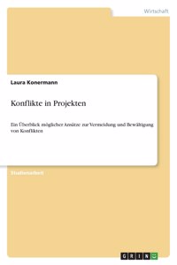 Konflikte in Projekten