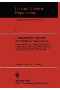Computational Aspects of Penetration Mechanics