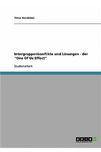 Intergruppenkonflikte und Lösungen - der 