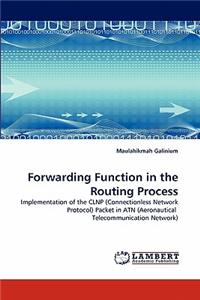 Forwarding Function in the Routing Process