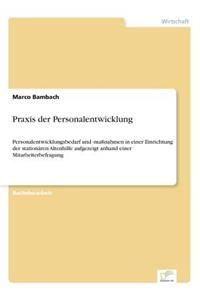Praxis der Personalentwicklung