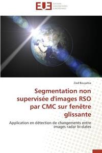 Segmentation Non Supervisée d'Images Rso Par CMC Sur Fenètre Glissante