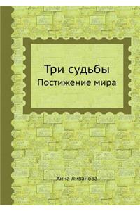 Tri Sud by Postizhenie Mira