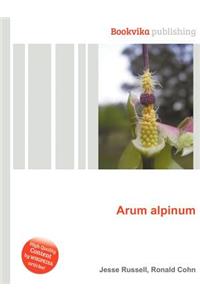 Arum Alpinum