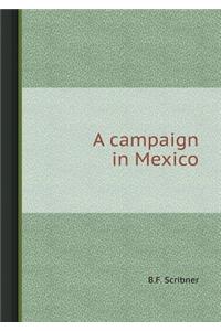 A Campaign in Mexico