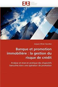 Banque Et Promotion Immobili�re