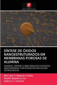 Síntese de Óxidos Nanoestruturados Em Membranas Porosas de Alumina