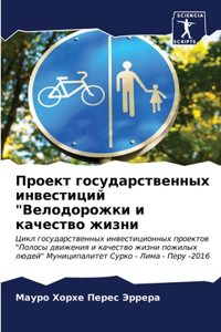 Проект государственных инвестиций 