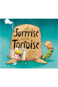 Surprise for Mrs. Tortoise