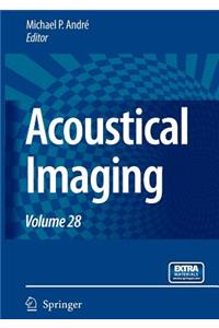 Acoustical Imaging