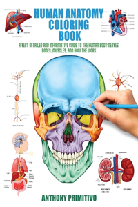 Human Anatomy Coloring Book