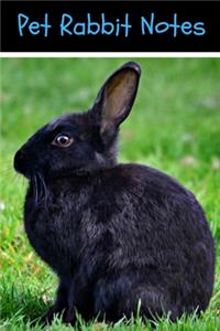 Pet Rabbit Notes