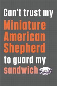 Can't trust my Miniature American Shepherd to guard my sandwich