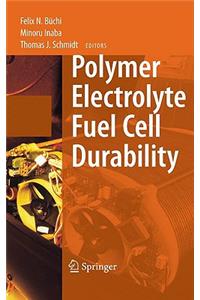 Polymer Electrolyte Fuel Cell Durability