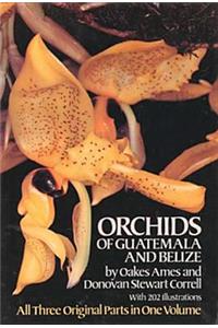 The Orchids of Guatemala and Belize