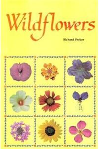 Wildflowers