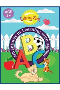 Adventures in Learning with Malibu