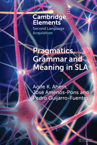 Pragmatics, Grammar and Meaning in SLA