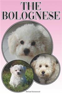 The Bolognese