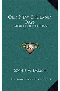 Old New England Days