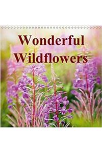 Wonderful Wildflowers 2018