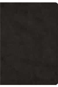 ESV Journaling Bible, Interleaved Edition