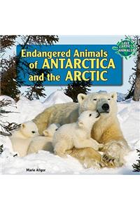 Endangered Animals of Antarctica and the Arctic