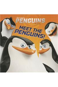 Meet the Penguins!