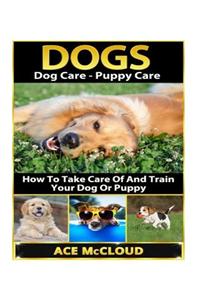 Dogs: Dog Care- Puppy Care- How to Take Care of and Train Your Dog or Puppy