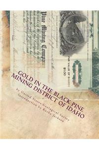 Gold in the Black Pine Mining District of Idaho