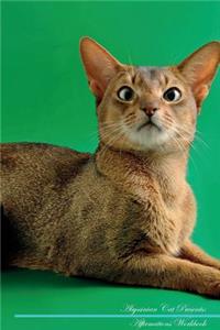 Abyssinian Cat Affirmations Workbook Abyssinian Cat Presents