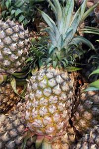 Fresh Pineapples at the Farmer's Market Journal