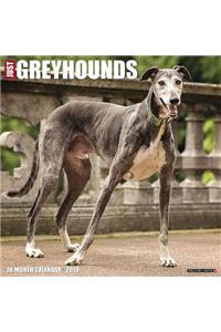 Just Greyhounds 2019 Wall Calendar (Dog Breed Calendar)