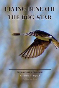 Flying Beneath the Dog Star