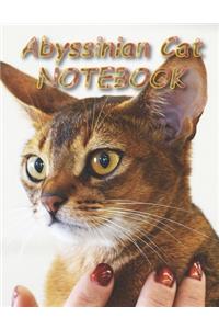 Abyssinian Cat NOTEBOOK