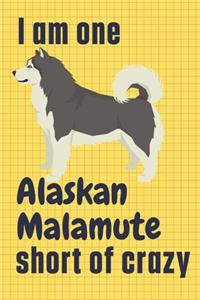 I am one Alaskan Malamute short of crazy