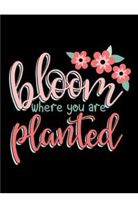Bloom Where You Are Planted