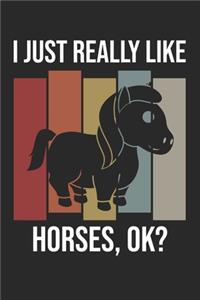 I Just Really Like Horses, OK?